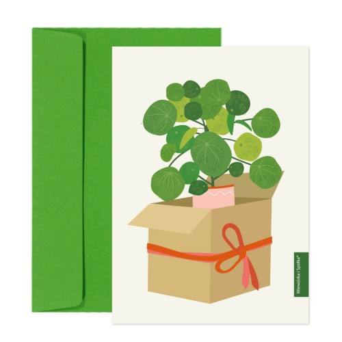 kartka-na-zyczenia-rosliny-pieniazek-Wiewiorka-i-Spolka-plants-gift-wishes-card-Squirrel-and-Company