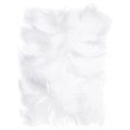piorka-dekoracyjne-biale-Wiewiorka-i-Spolka-white-decorative-feathers-Squirrel-and-Company
