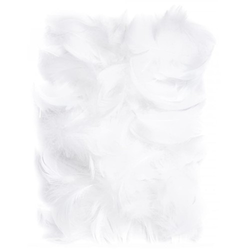 piorka-dekoracyjne-biale-Wiewiorka-i-Spolka-white-decorative-feathers-Squirrel-and-Company