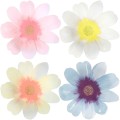 talerze-duze-papierowe-talerzyki-kwiaty-kwiatki-Wiewiorka-i-Spolka-flower-garden-large-paper-party-plates-Squirrel-Company