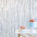 kurtyna-srebrna-holograficzna-Wiewiorka-i-Spolka-holographic-curtain-Squirrel-Company