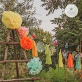 POM_010_25cm_002.jpg